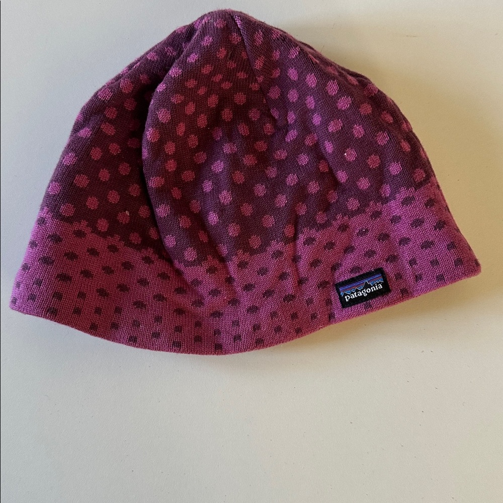 Patagonia Fleece Lined Winter Hat
